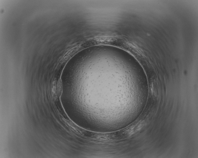 X0000067001396200603311602