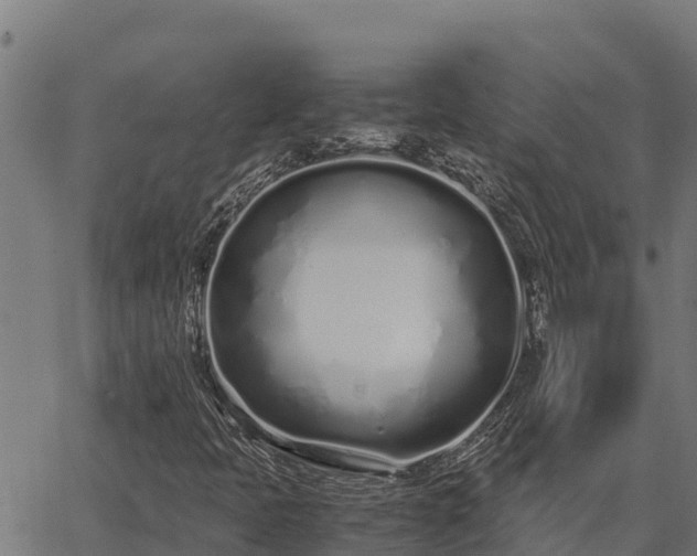 X0000067001397200603311602