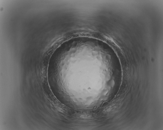 X0000067001399200603311603