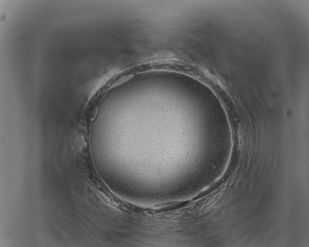 X0000067001400200603311603