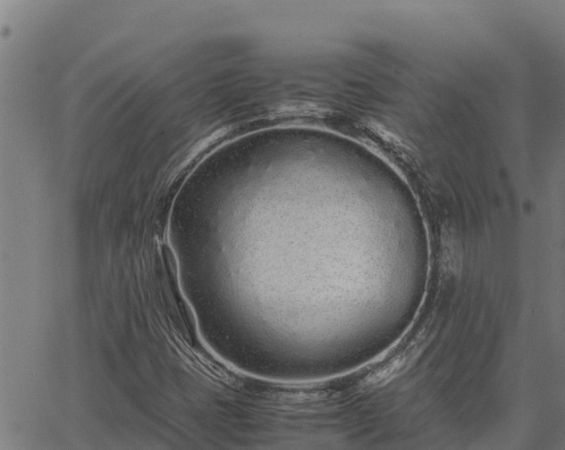 X0000067001401200603311603