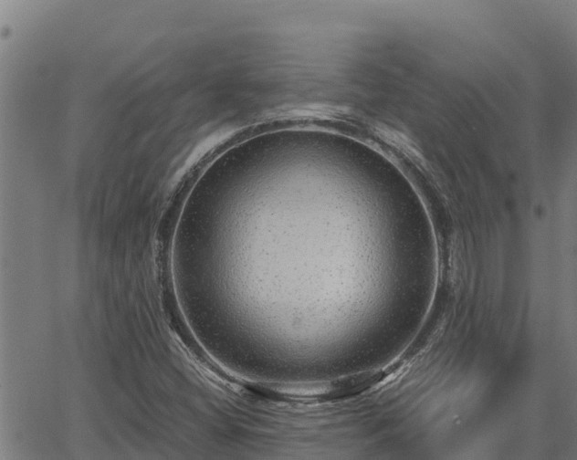 X0000067001404200603311603