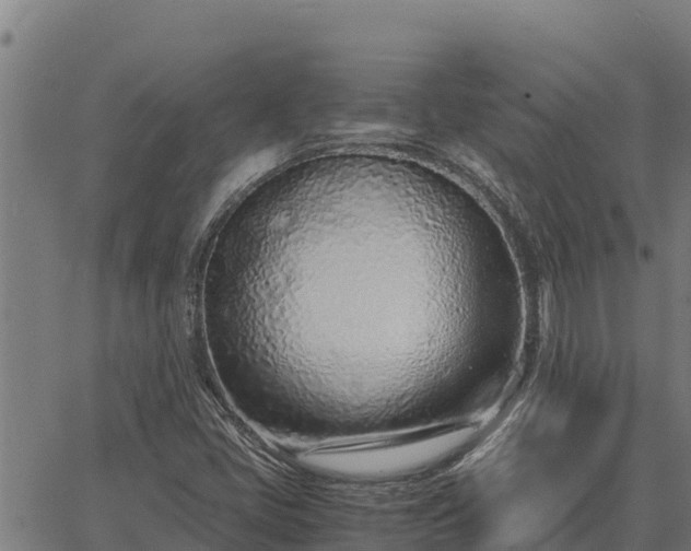 X0000067001405200603311603