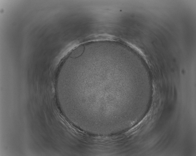 X0000067001407200603311603