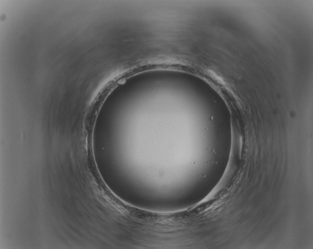 X0000067001408200603311603