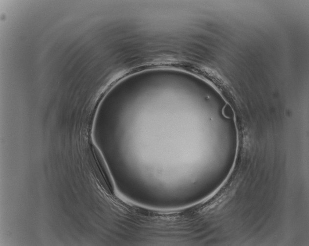 X0000067001409200603311603