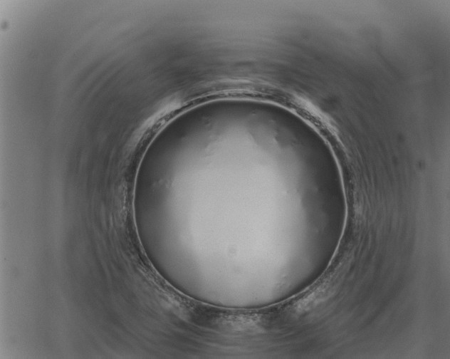 X0000067001411200603311603