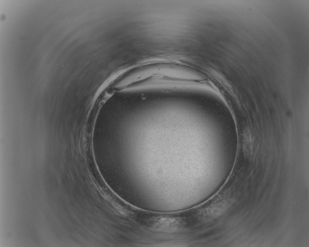 X0000067001412200603311603