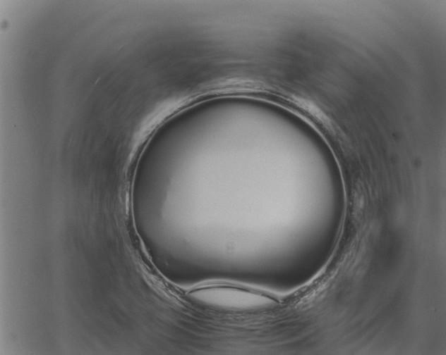 X0000067001413200603311603