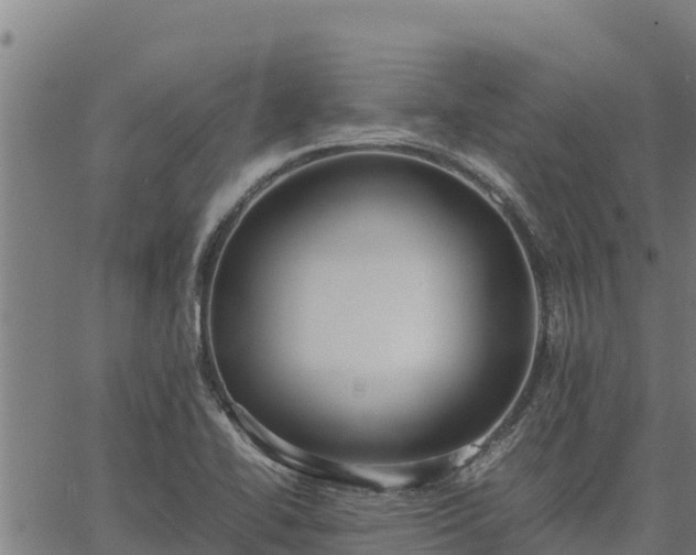 X0000067001414200603311603