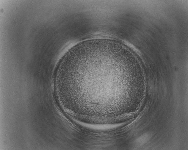 X0000067001415200603311603