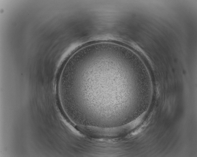 X0000067001416200603311603