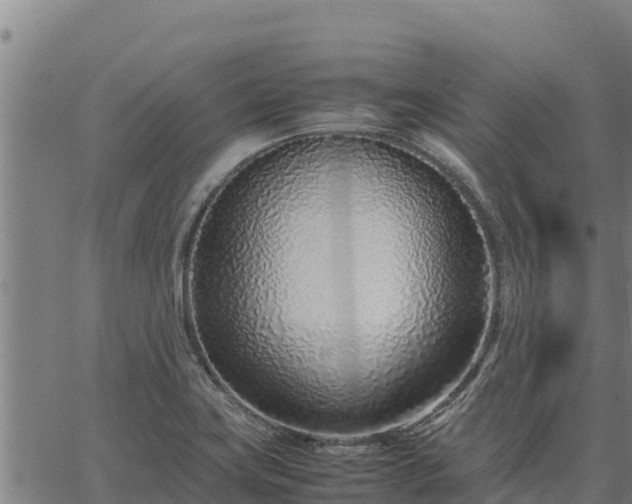 X0000067001419200603311603