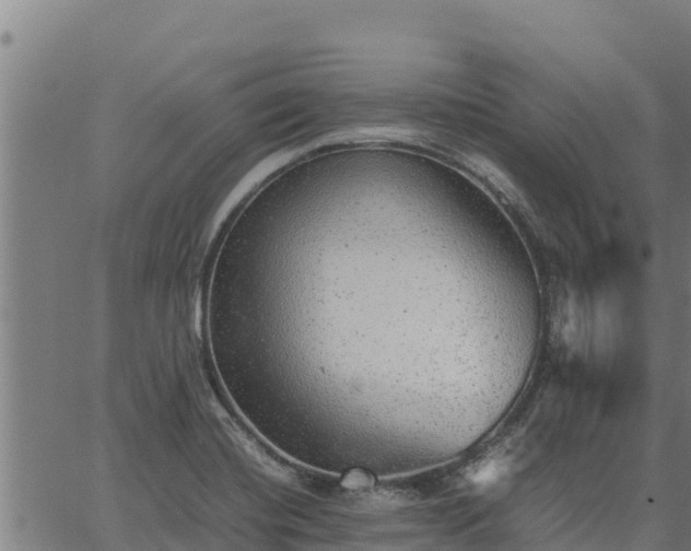 X0000067001420200603311603