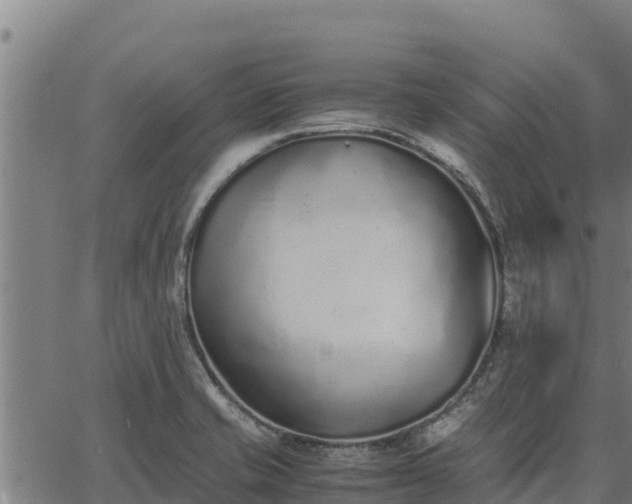 X0000067001421200603311603