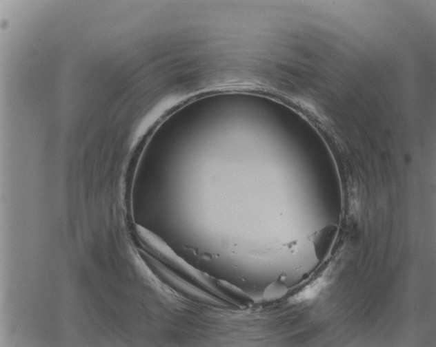 X0000067001422200603311603