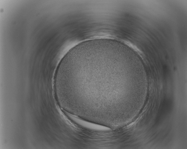 X0000067001423200603311603