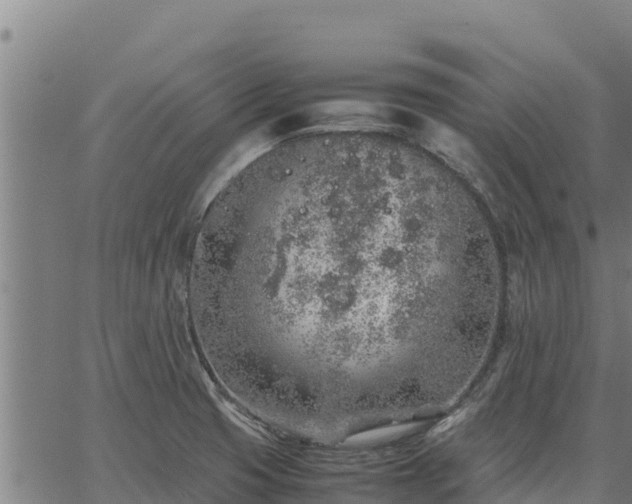 X0000067001425200603311603