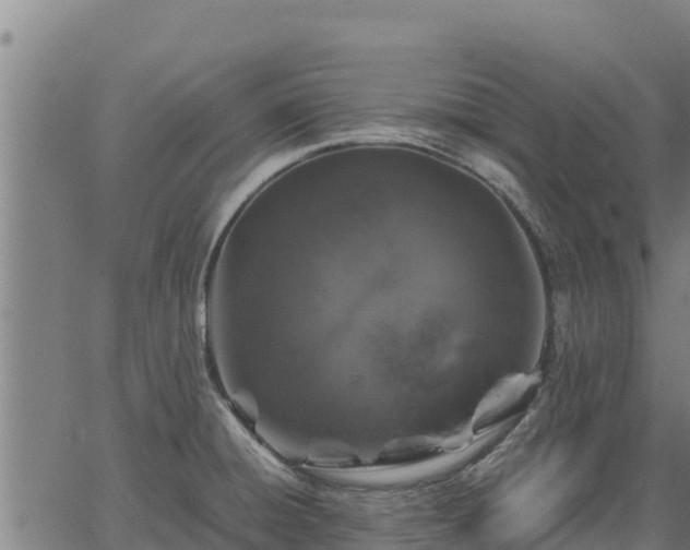 X0000067001428200603311603