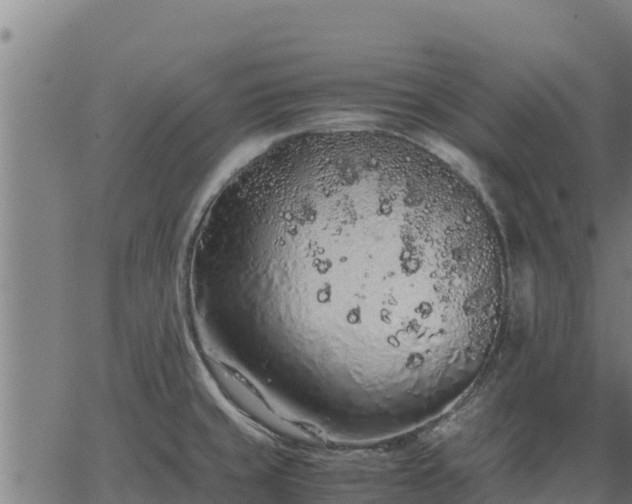 X0000067001429200603311603