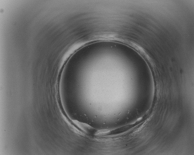 X0000067001432200603311603