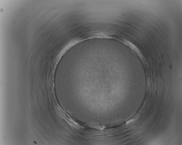 X0000067001435200603311603