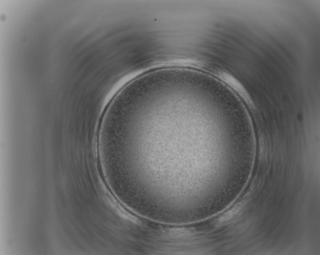 X0000067001436200603311603