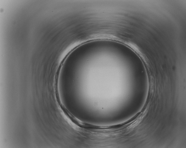 X0000067001438200603311603