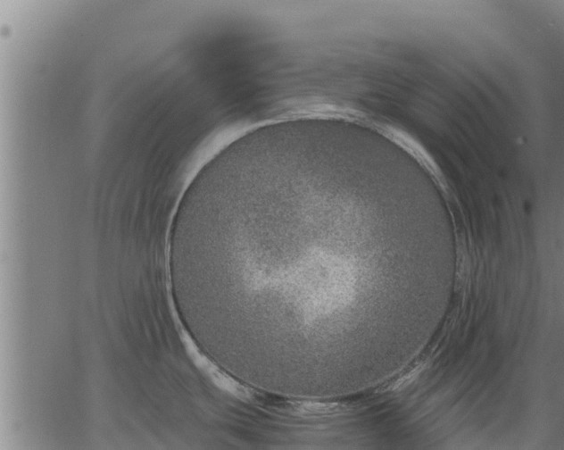 X0000067001439200603311603