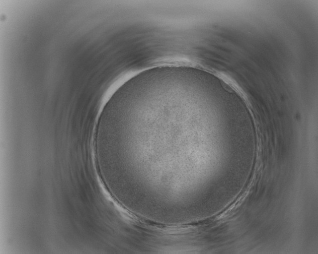 X0000067001440200603311603