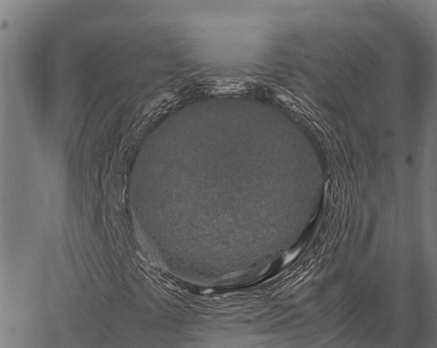 X0000067001441200603311602