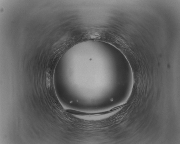 X0000067001442200603311602