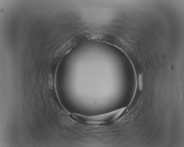 X0000067001443200603311602