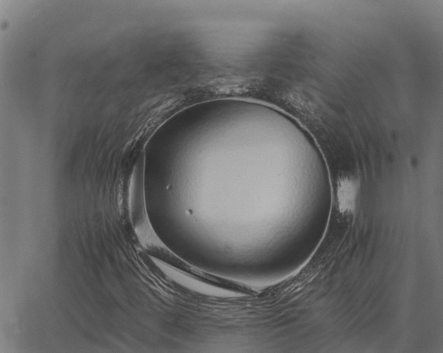 X0000067001444200603311602