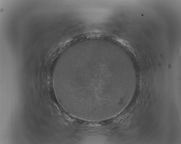 X0000067001445200603311602