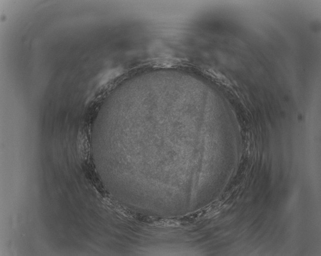 X0000067001446200603311602