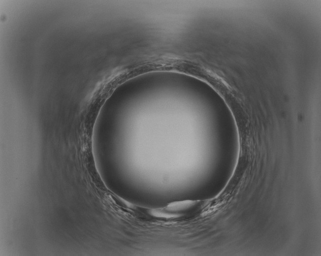 X0000067001447200603311602