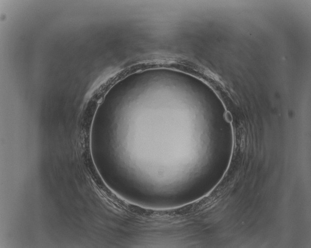 X0000067001448200603311602