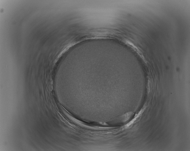 X0000067001449200603311602