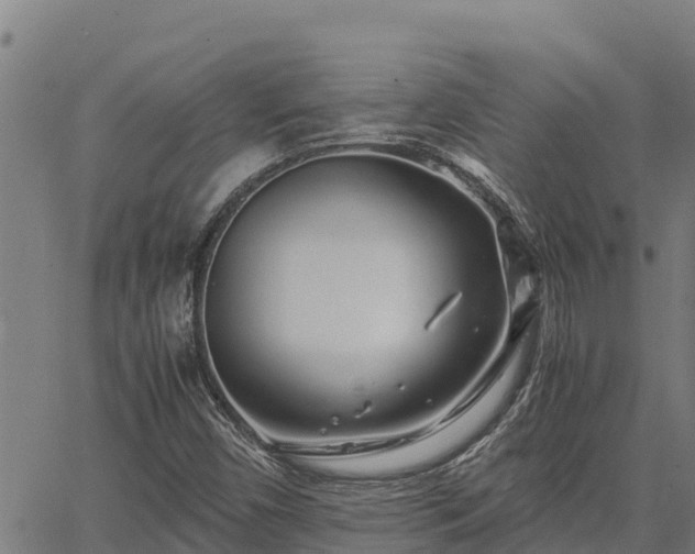 X0000067001450200603311602