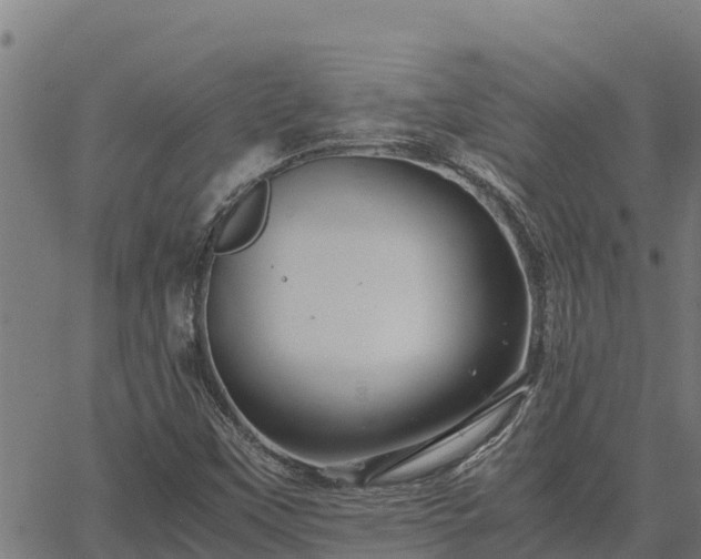 X0000067001451200603311602