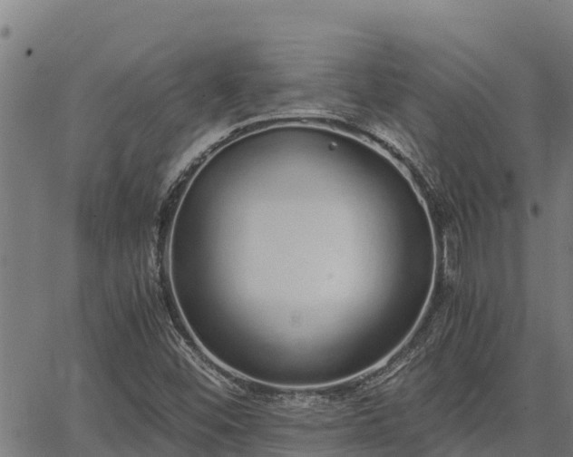 X0000067001452200603311602