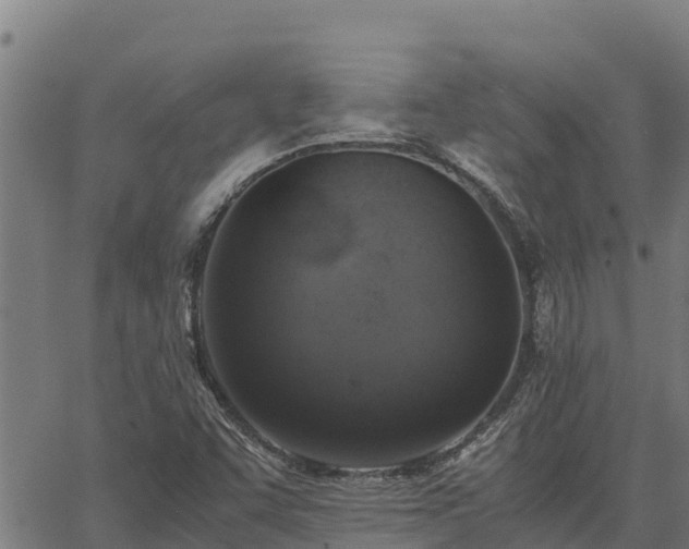 X0000067001455200603311602