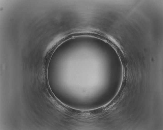 X0000067001456200603311602