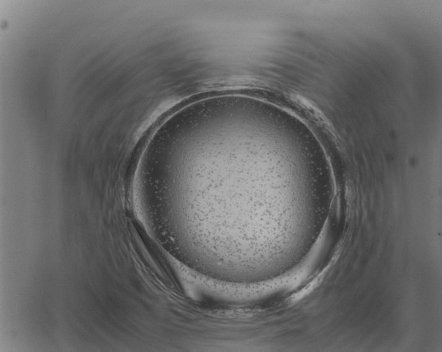 X0000067001457200603311602