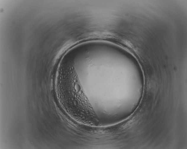 X0000067001459200603311602