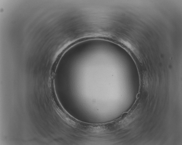 X0000067001460200603311602