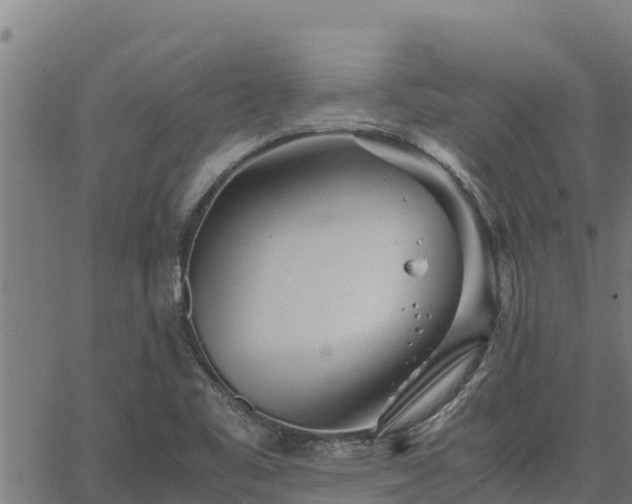 X0000067001461200603311602