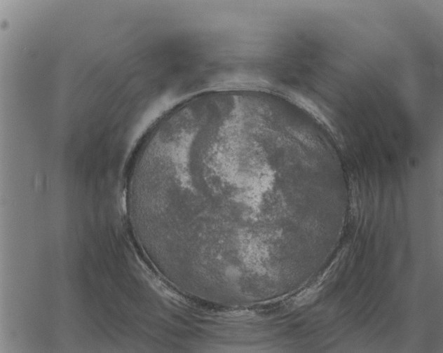 X0000067001462200603311602