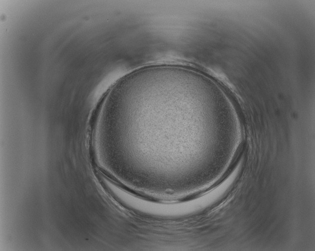 X0000067001463200603311602